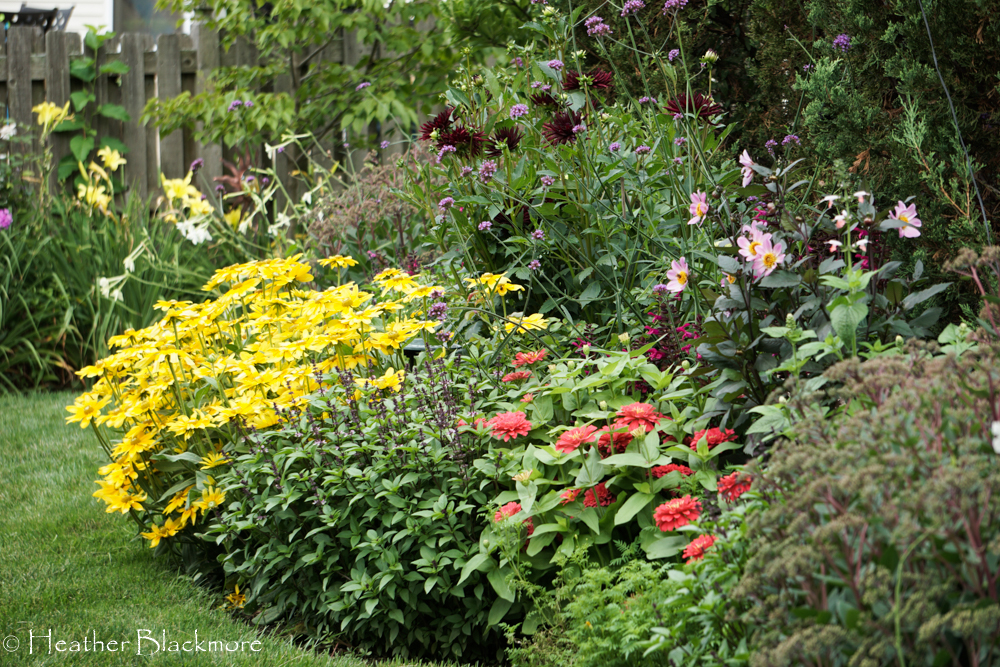 Summer Flower Border