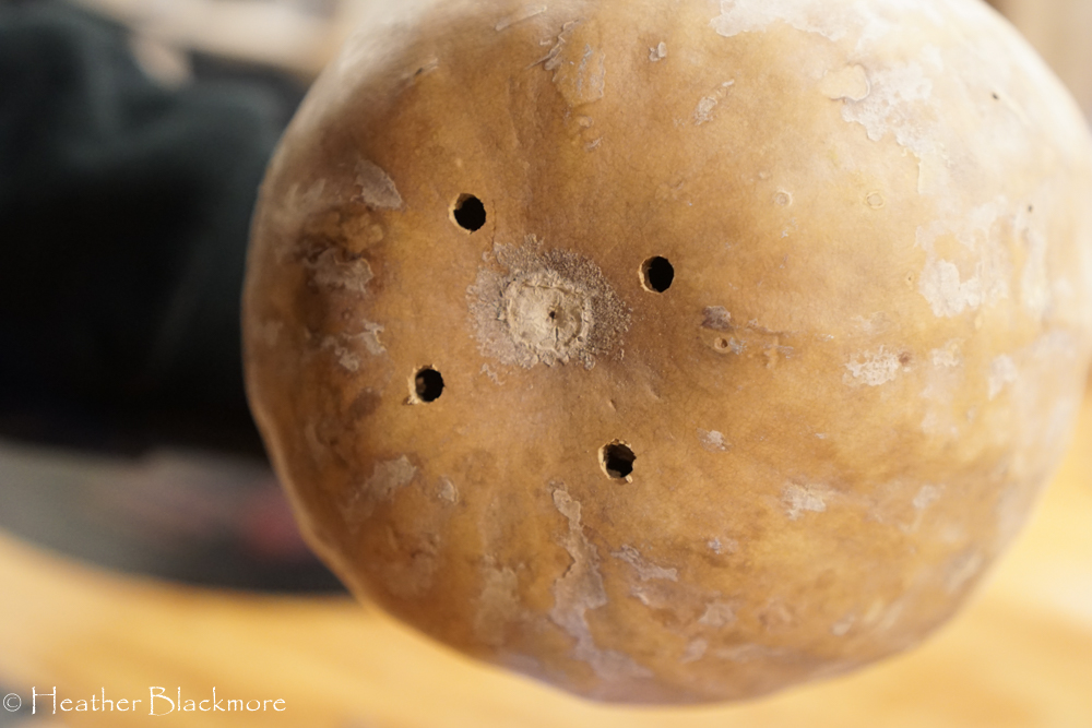 Holes drilled in bottom of gourd
