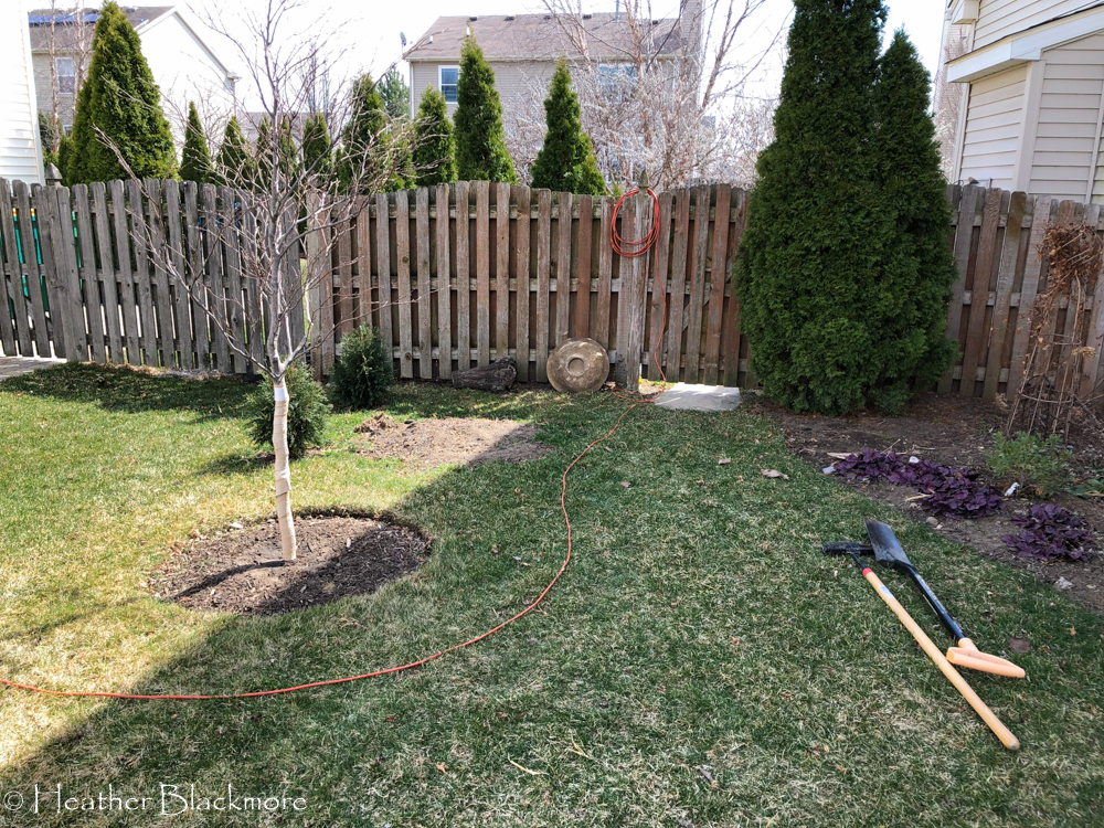 Sideyard before