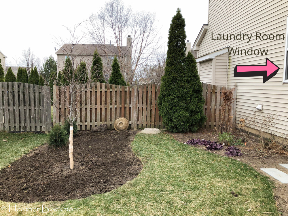 New sideyard bed