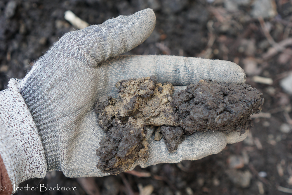 Clay soil sample