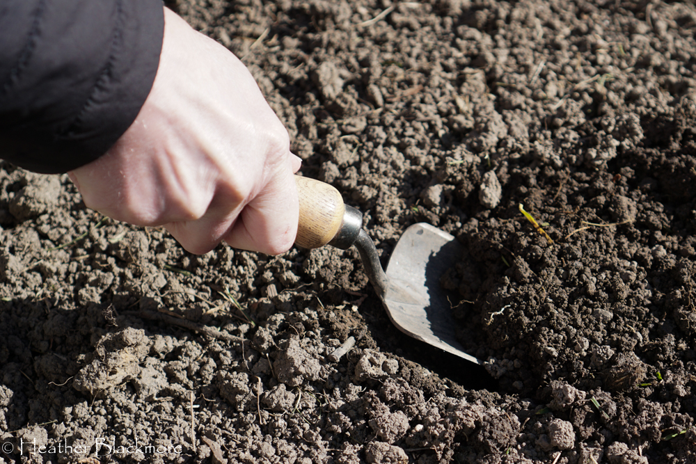 Soil test