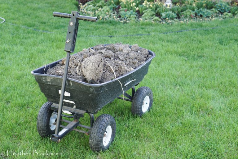 Gorilla Wagon full of soil