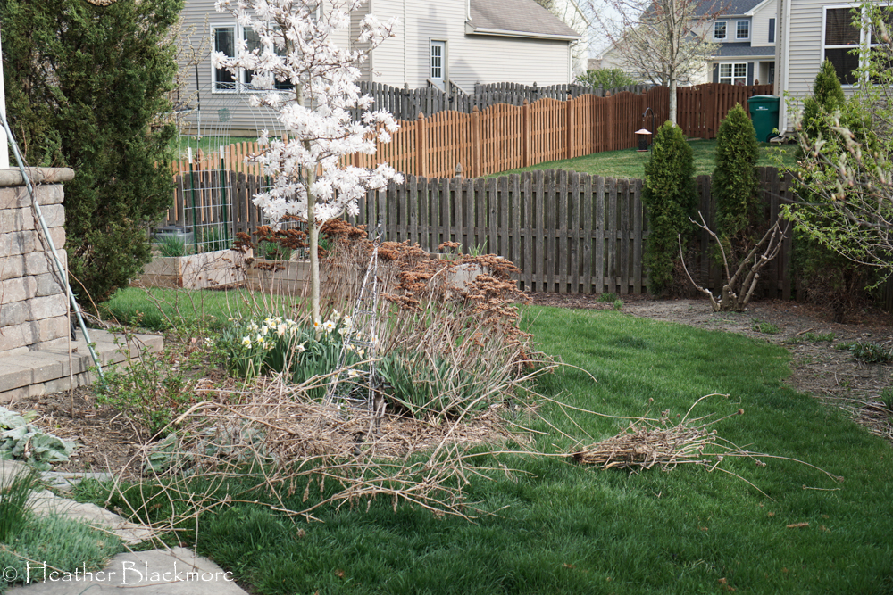 spring cleanup