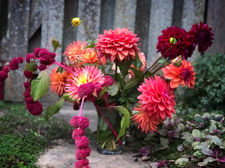 Dahlia bouquet