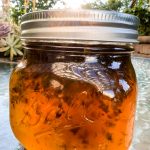 homemade jalapeno pepper jelly