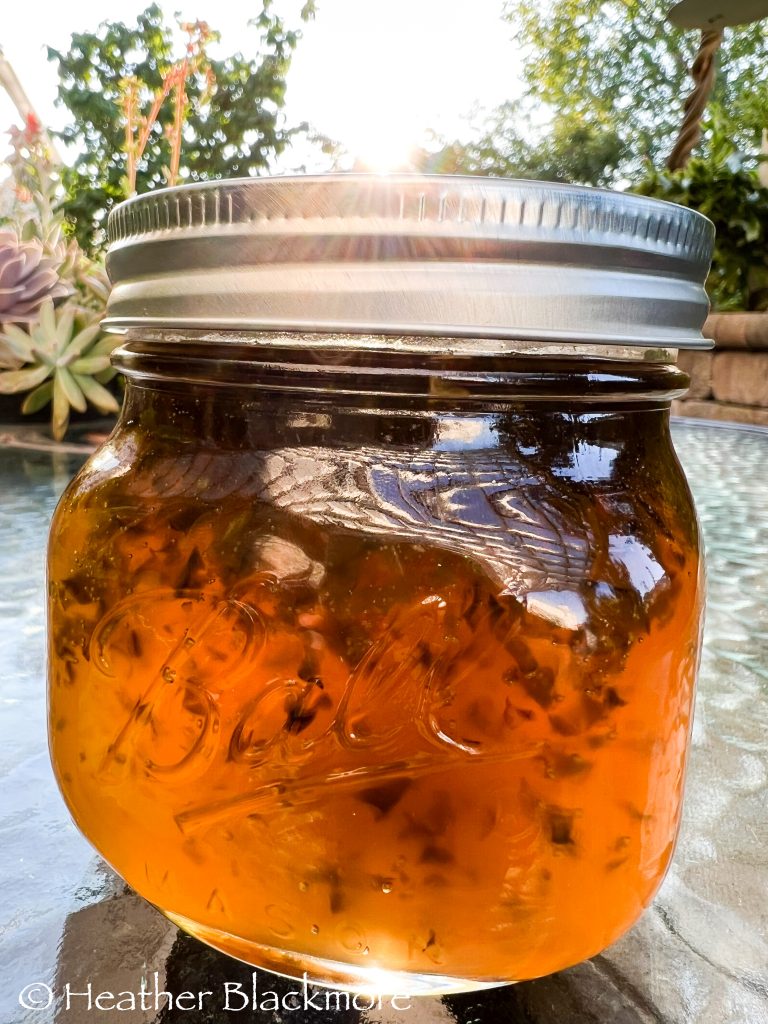 homemade jalapeno pepper jelly
