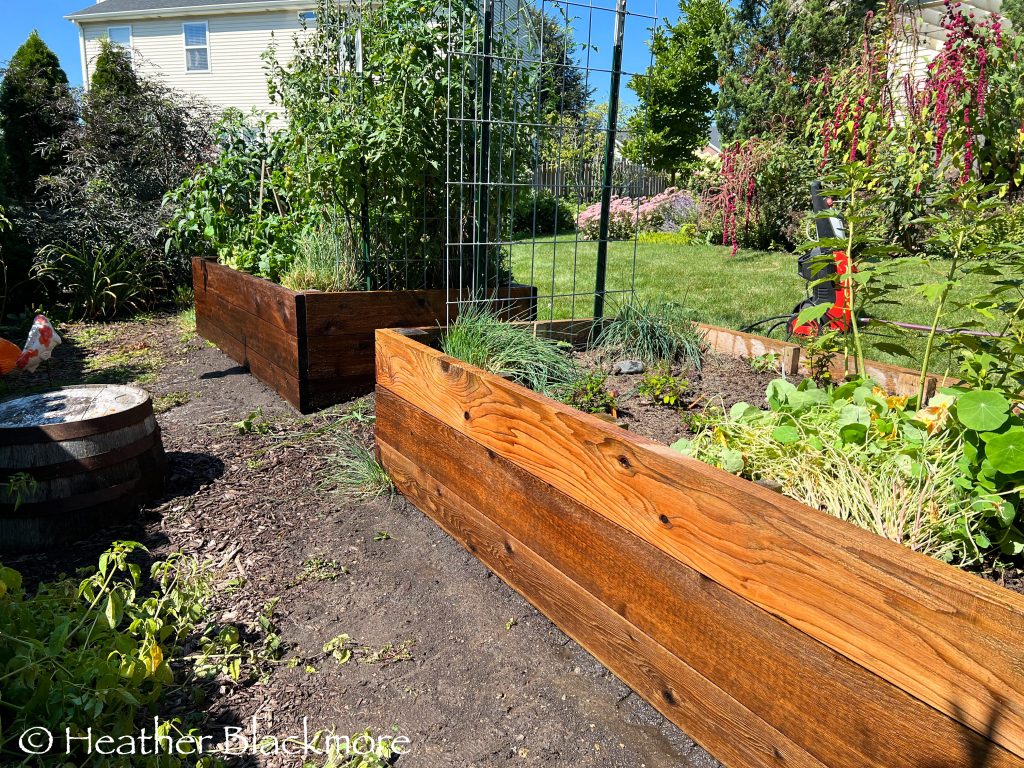 Raised beds