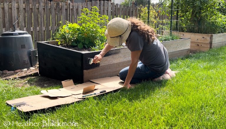 staining a raised bed