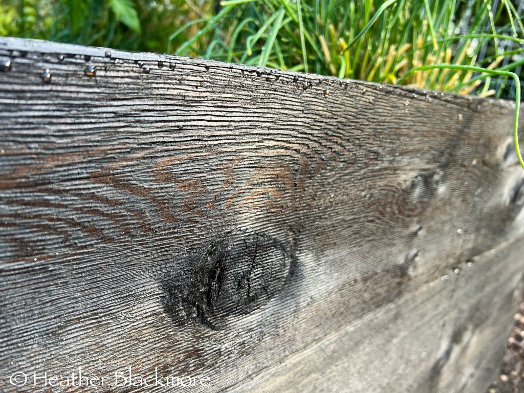wood grain of stained wood