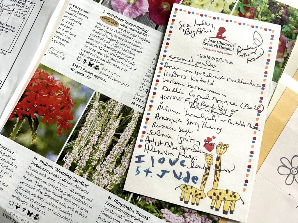 Perennial plant list
