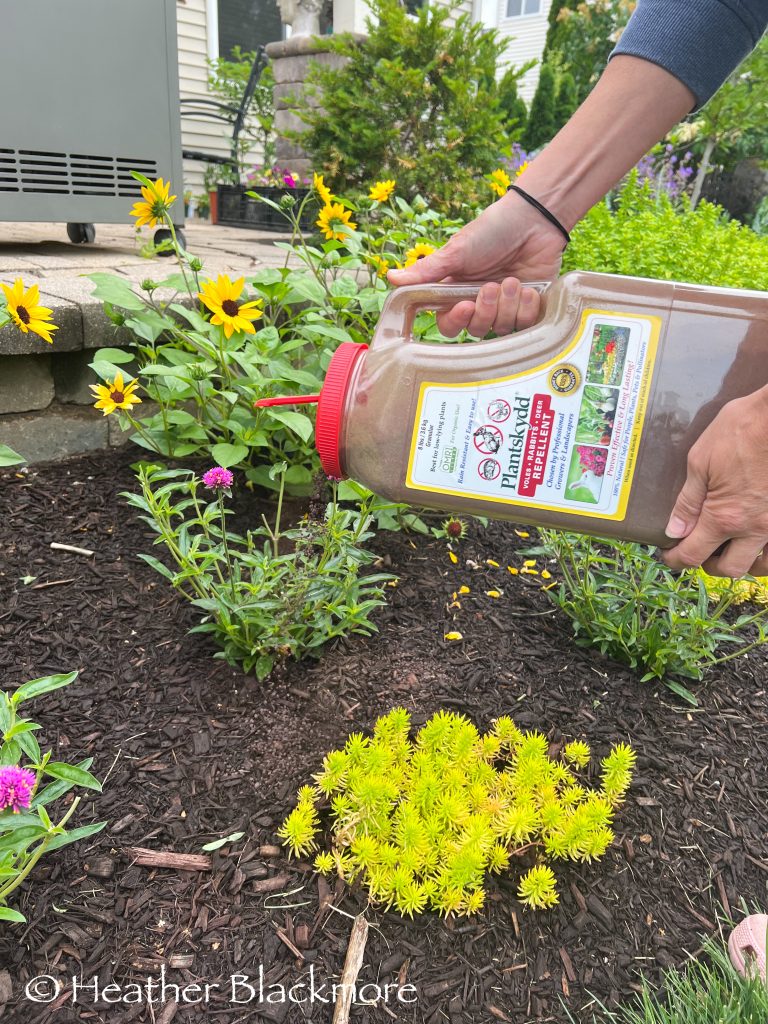 Plantskydd animal repellant