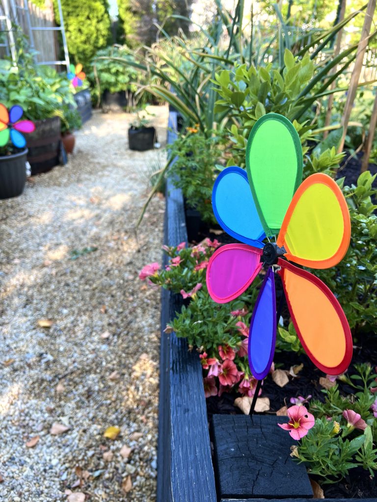 Whirligigs