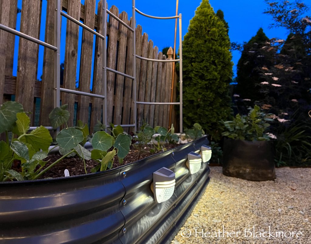 Vego Garden raised bed with trellis and solar lights
