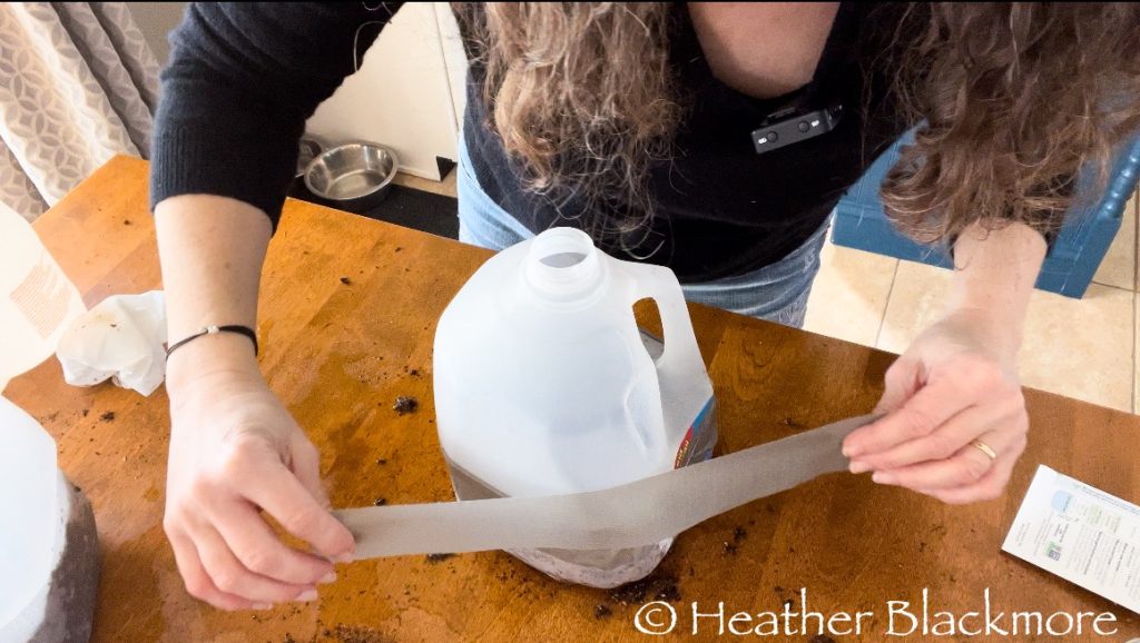 Sealing winter sowing jugs with duct tape