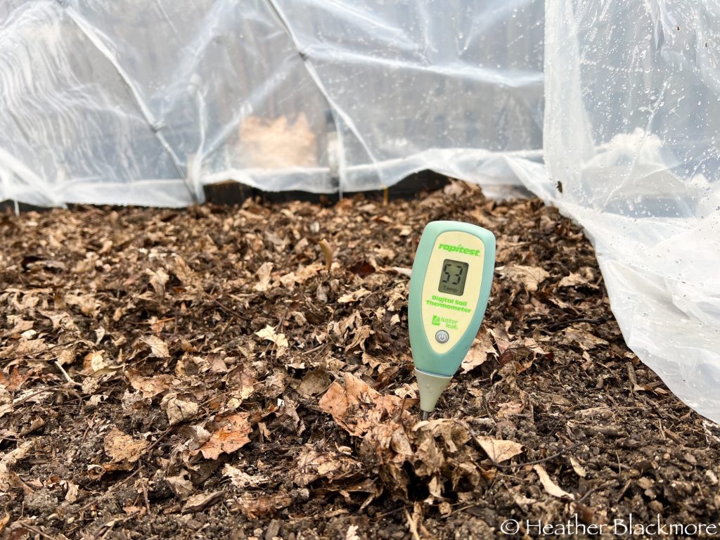 soil thermometer in raised bed
