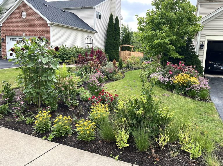 side yard garden