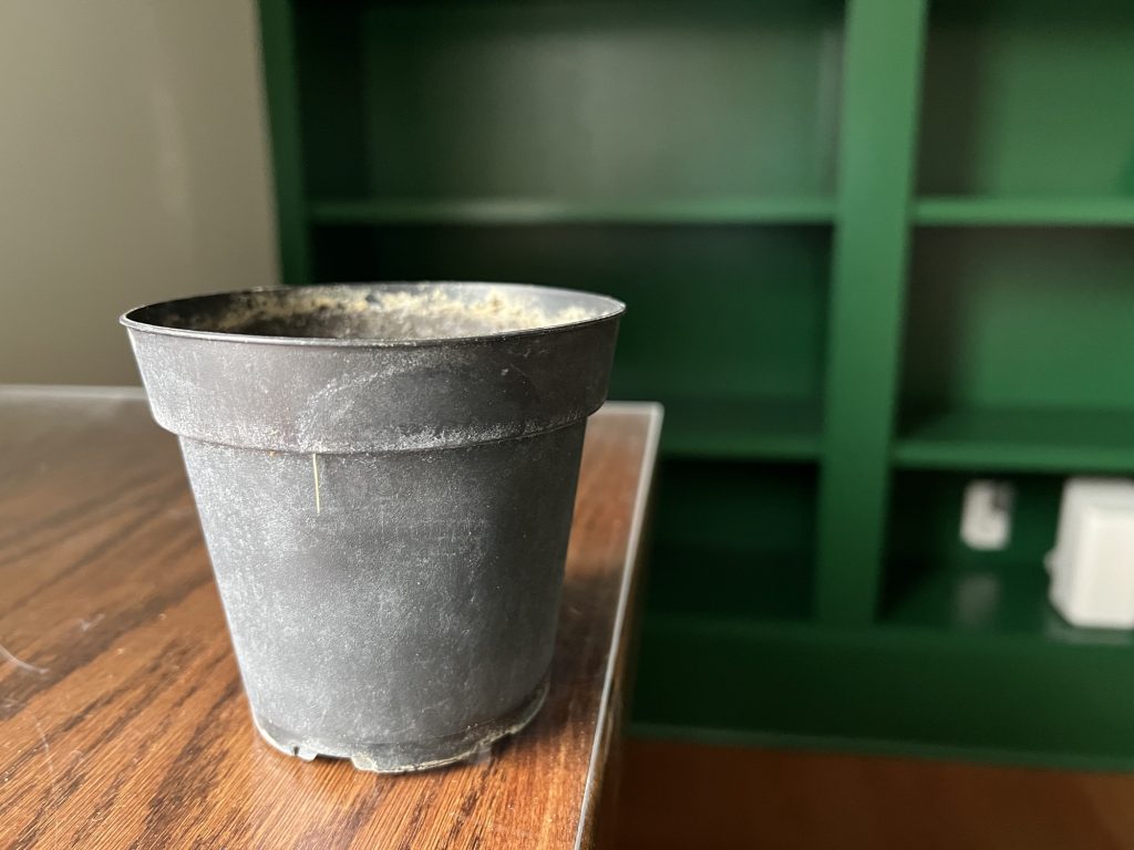 Four-inch plastic pot