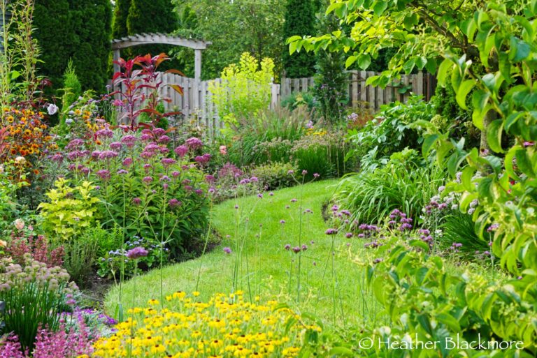 Mixed border with Verbena bonariensis