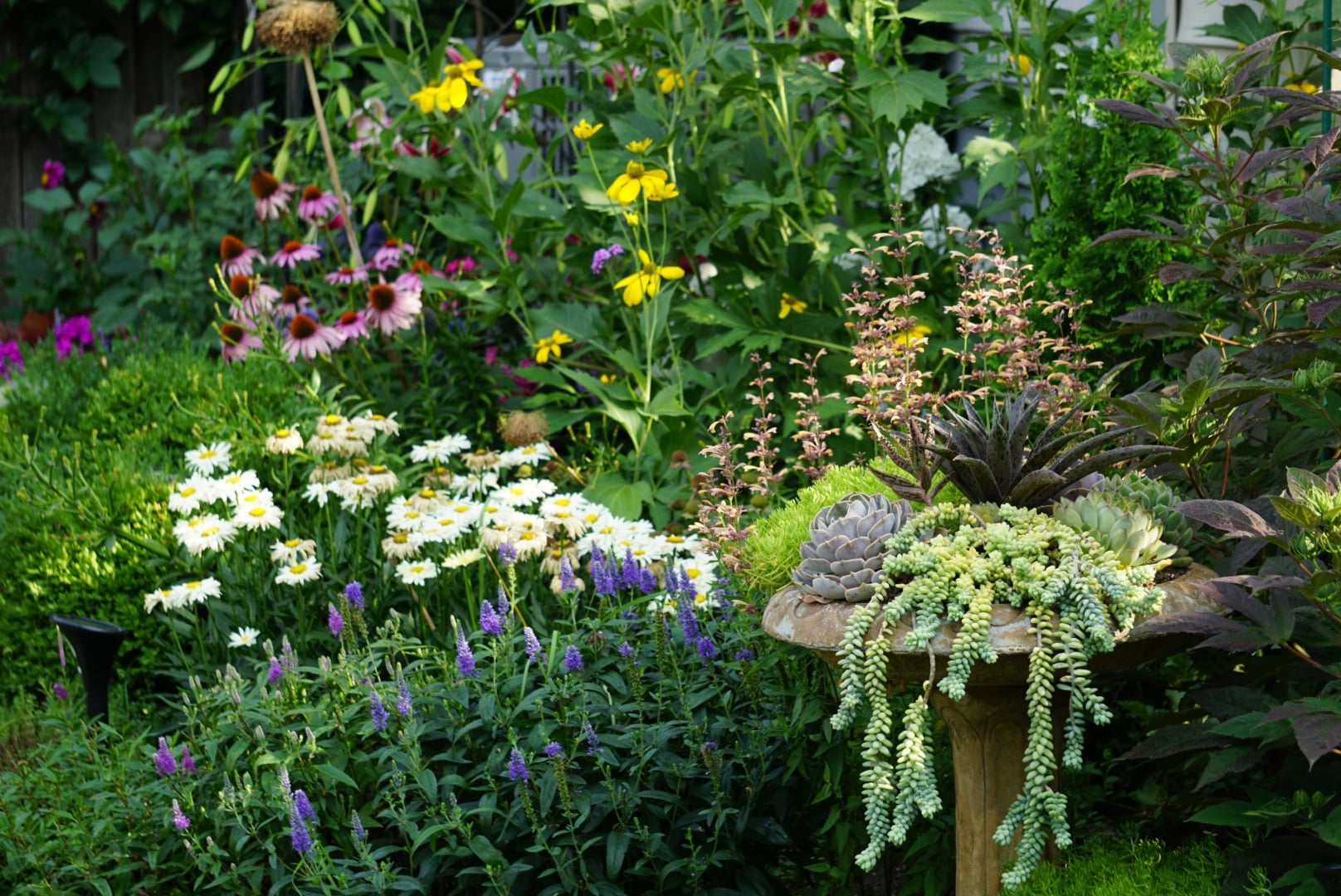 Succulent Birdbath Planter