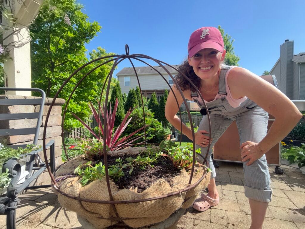 Portulaca hanging basket
